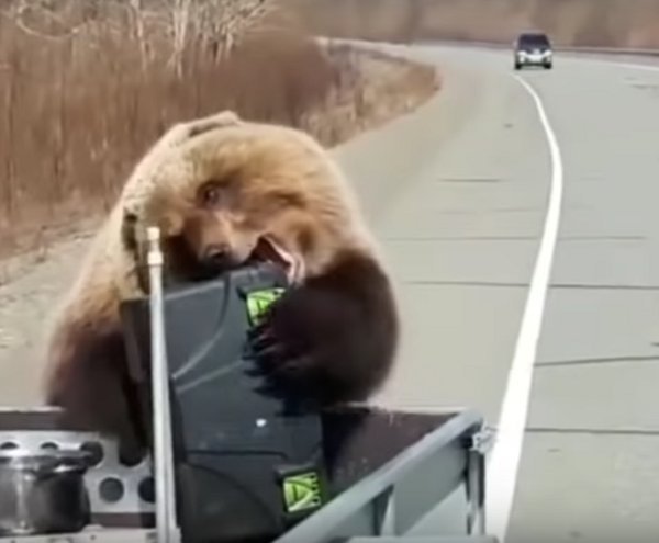 Кадр из видео в YouTube